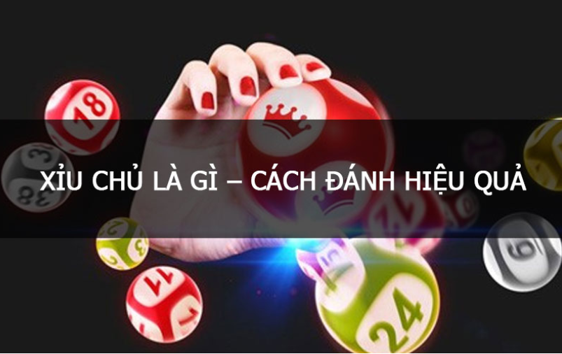 Tổng hợp cách đánh xỉu chủ