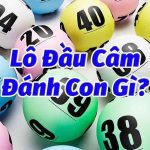 Các kinh nghiệm đánh lô đầu câm người mới nên biết